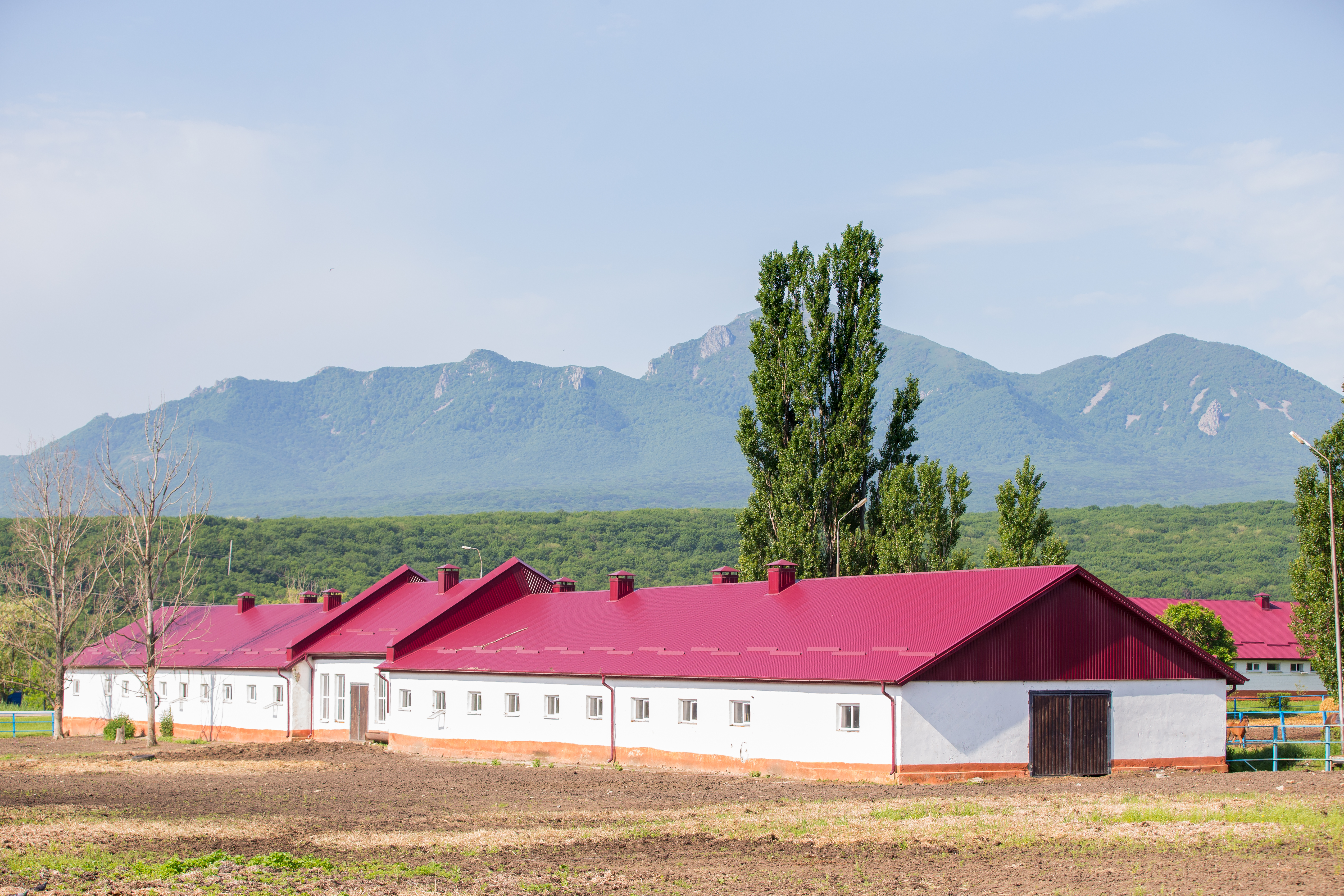 Комфортабельные конюшни